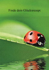 Finde dein Glücksrezept - Cover